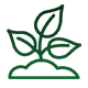 Sprouting Plant Icon